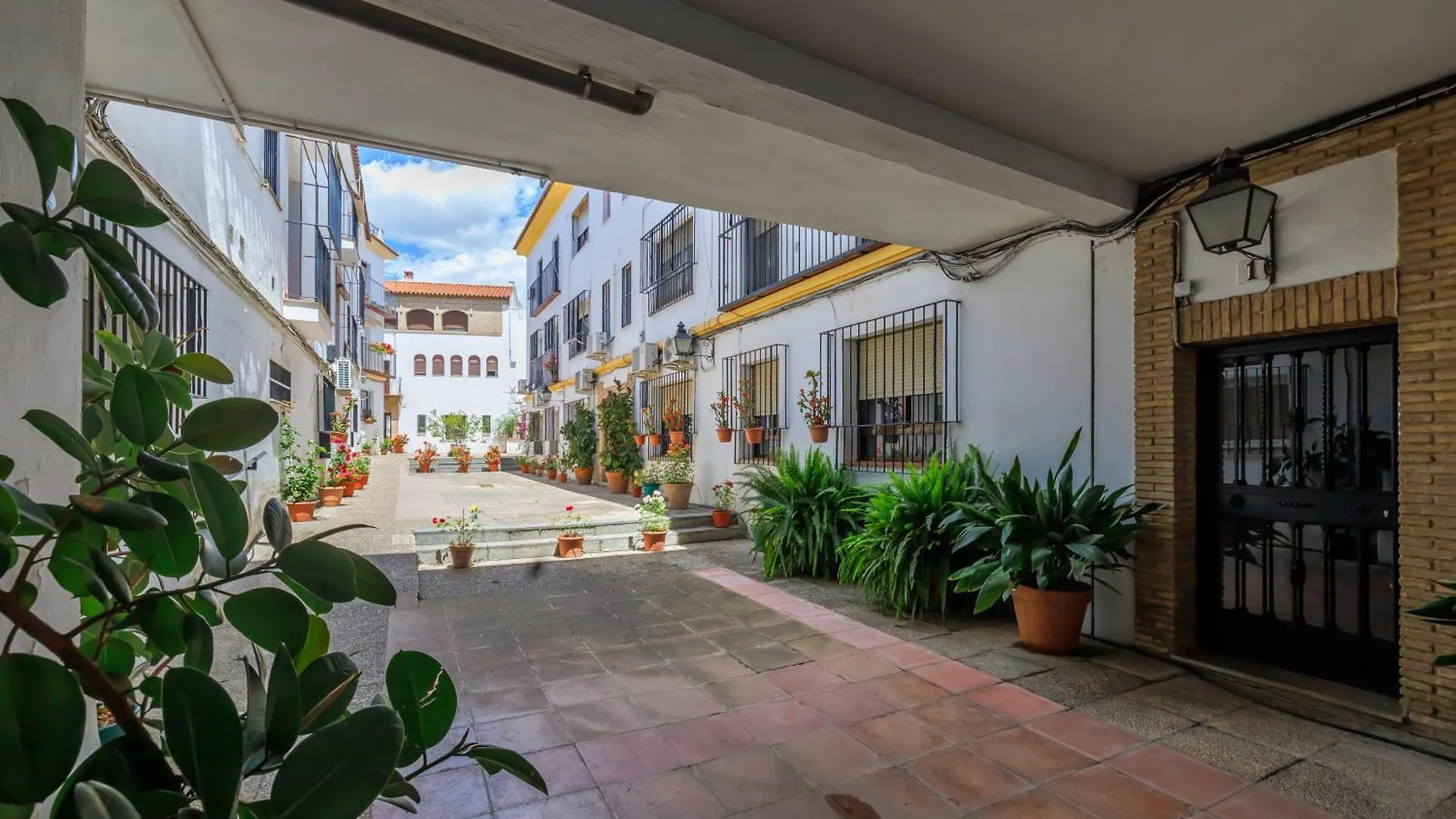 La Flor Del Cerezo & Center Apartment Cordoba