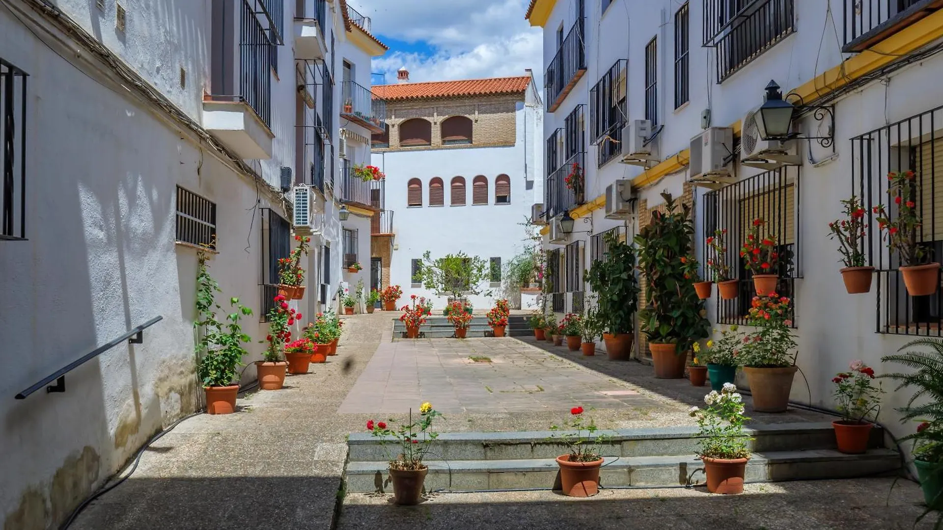 La Flor Del Cerezo & Center Apartment Cordoba Spain