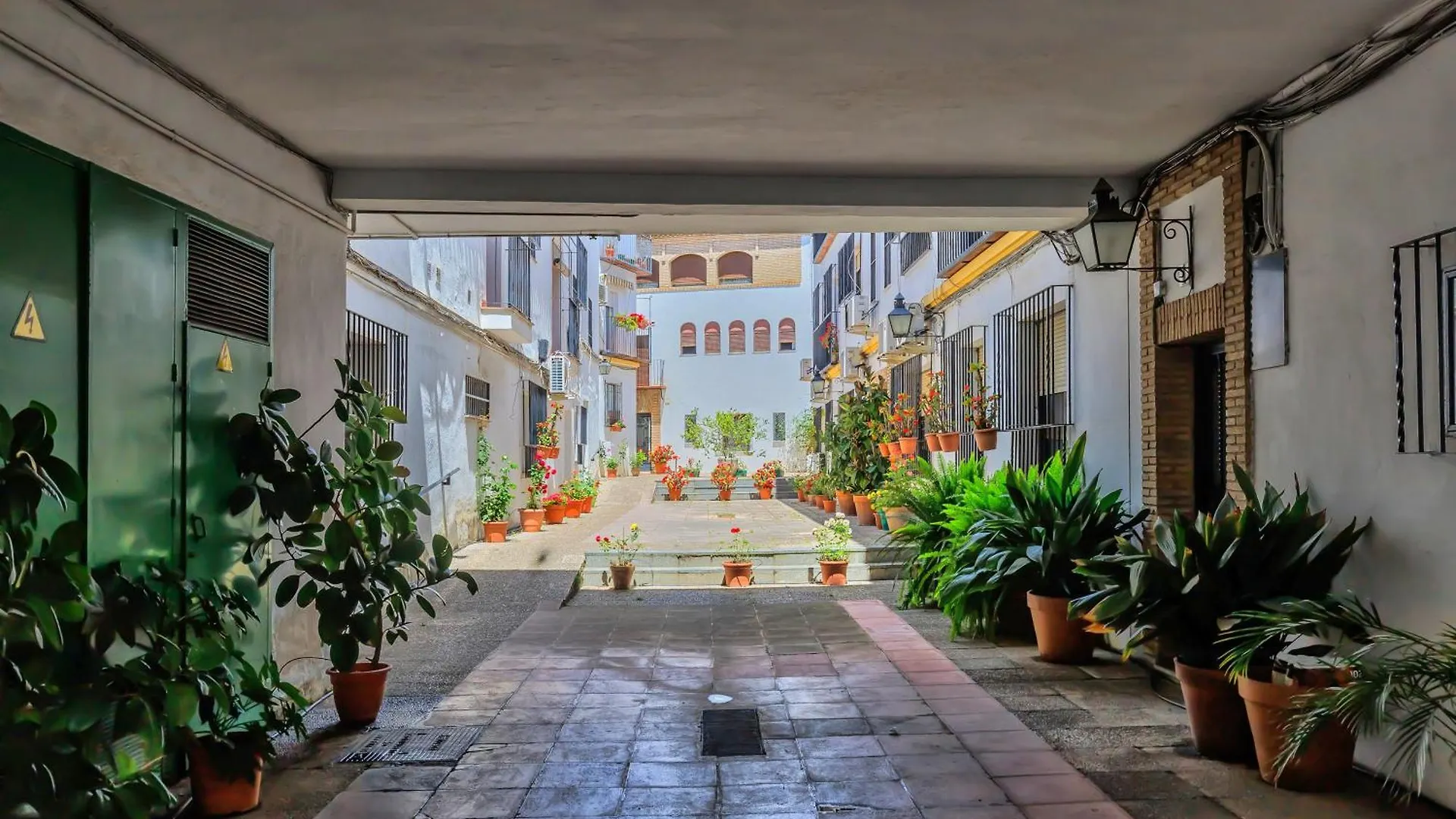 La Flor Del Cerezo & Center Apartment Cordoba